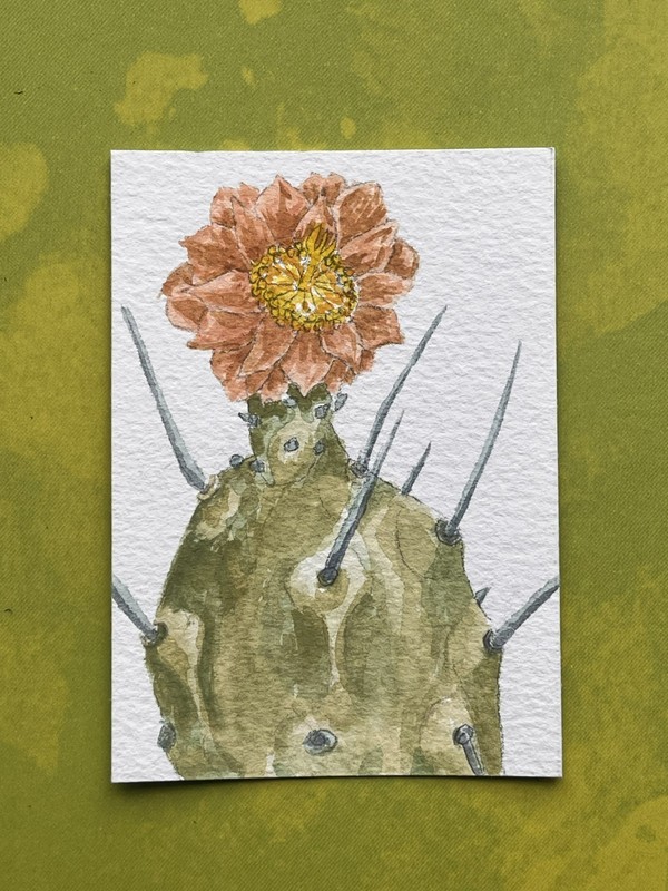 ACEO 2.5x3.5" -Original Botanical "Blooming Cactus" Watercolor 2026 K Fowler Art