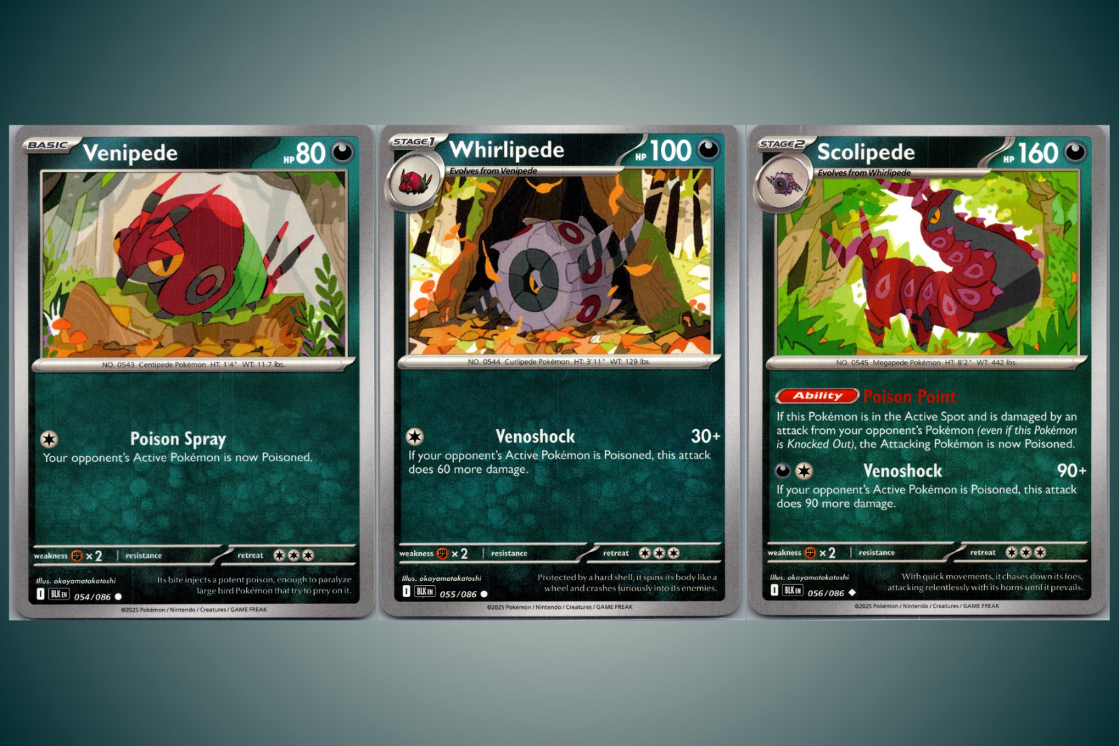 Venipede Whirlipede Scolipede, Evolution Line, 3 Card Set, Black Bolt