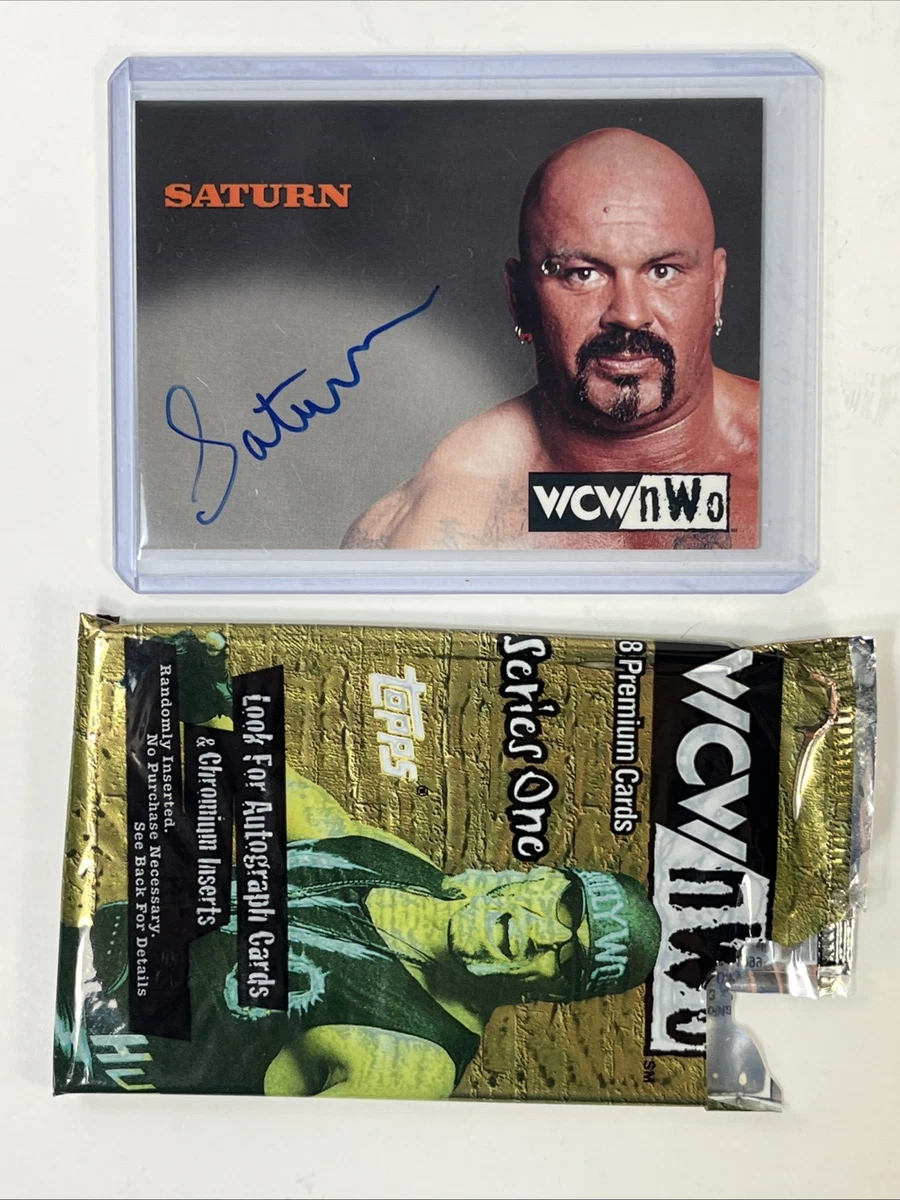World Wrestling Championship (WCW) Wrestling Autographed Sports