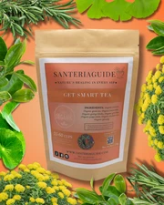 SanteriaGuide Get Smart Focus Tea
