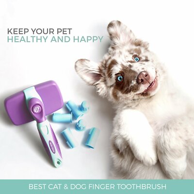 Pet Hair Shedding Control Tool – Innovative Solution for Cats