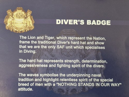SINGAPORE Navy Diver qualification badge, mess dress, Scuba frogman - Picture 2 of 2