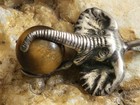 ICC Sterling Silver & Tigers Eye Quartz Elephant Pendant — photo 3