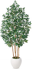 7Ft Ficus Tree - Realistic Faux Plant with White Planter for Home  Office Decor