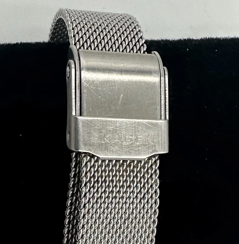 SKAGEN Stainless Steel Watch with Light Green Sunray Dial and Mesh Band Foto 2 de 4