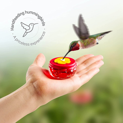 Handheld Small Glass Hummingbird Feeders (Set of 2) with Window Suction Mount Ba - Picture 3 of 12