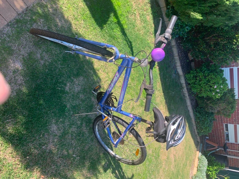 gumtree bike lock