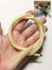 Morezmore M01088 6g Real Horse Hair Whiskers in Needle-Felting Natural Blonde