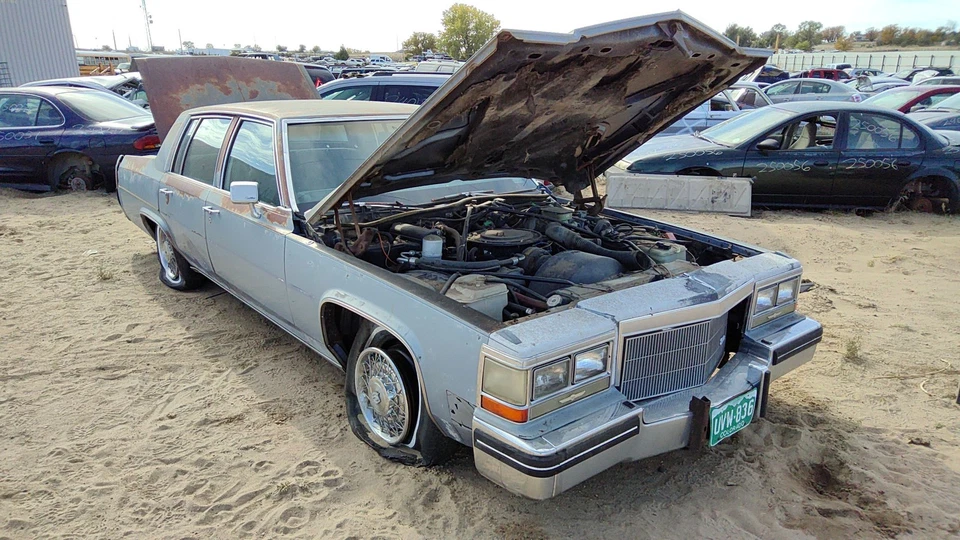 Deville 1983 1984 sedán distribuidor de encendido fabricante original 4,1 L 01103706 Foto 2 de 4