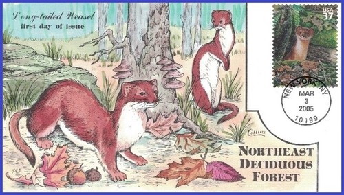 USA1 #3899f U/A COLLINS HAND PAINTED FDC Long-tailed weasel Deciduous Forest