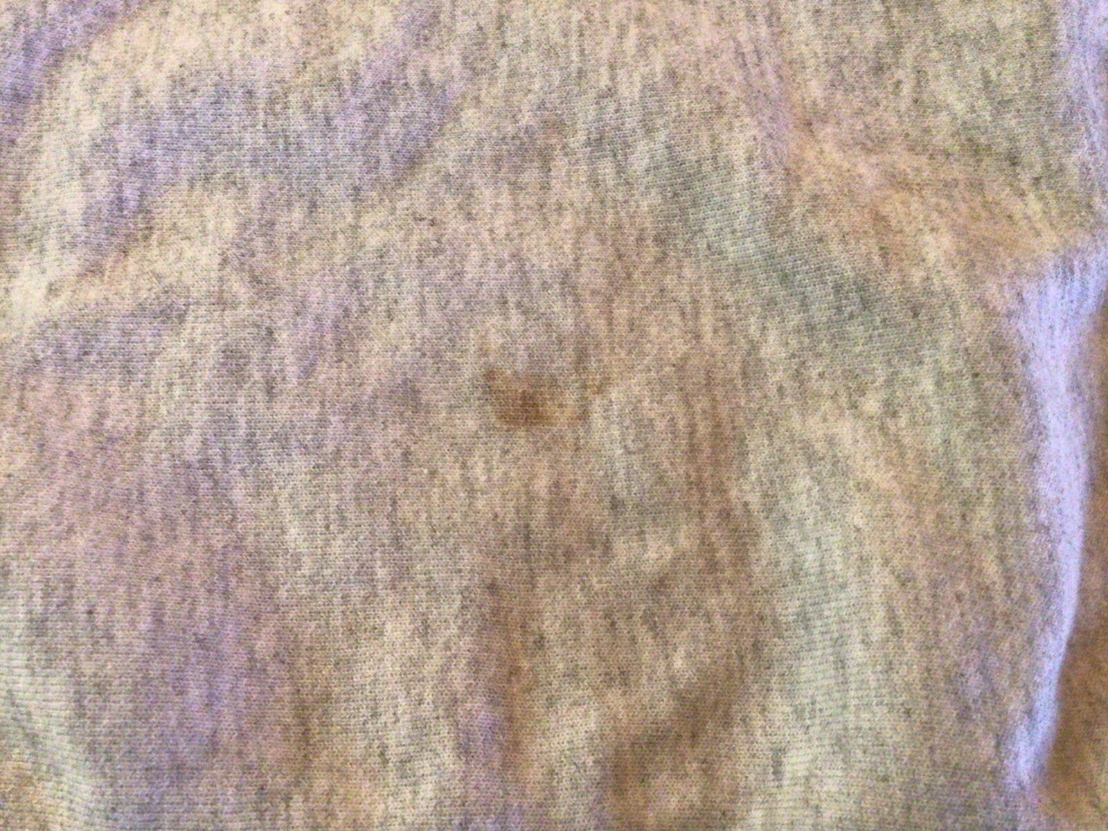 Picture 5 of 7