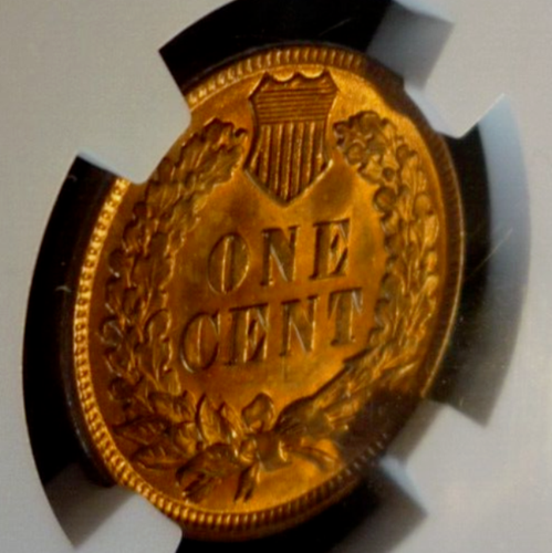 :1895 1C INDIAN PRINCESS CENT NEAR GEM NGC MS64RB MUCH RED RARITY R4 HIGH-GRADES - Picture 8 of 9