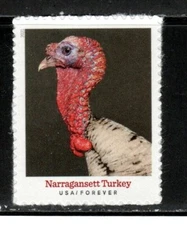 5586 * NARRAGANSETT TURKEY *   U.S. Postage Stamp MNH