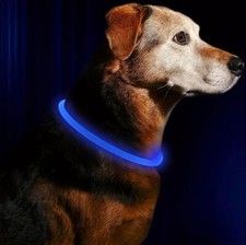 Image of Light Up Dog Collar Pet Flashing USB-Rechargeable Safety LED Size Adjustable