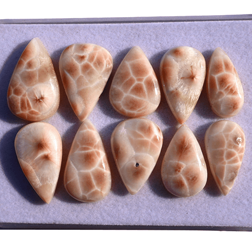 Lot 10 Pcs Natural Thompsonite AAA Quality 18.5mm-22.6mm Pear Cabochon Gemstones - Picture 11 of 13