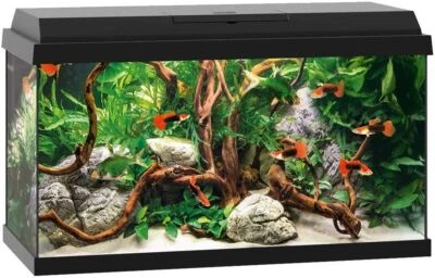 Juwel Aquarium Set Primo 60 LED schwarz inkl. Beleuchtung Filtersystem Heizer