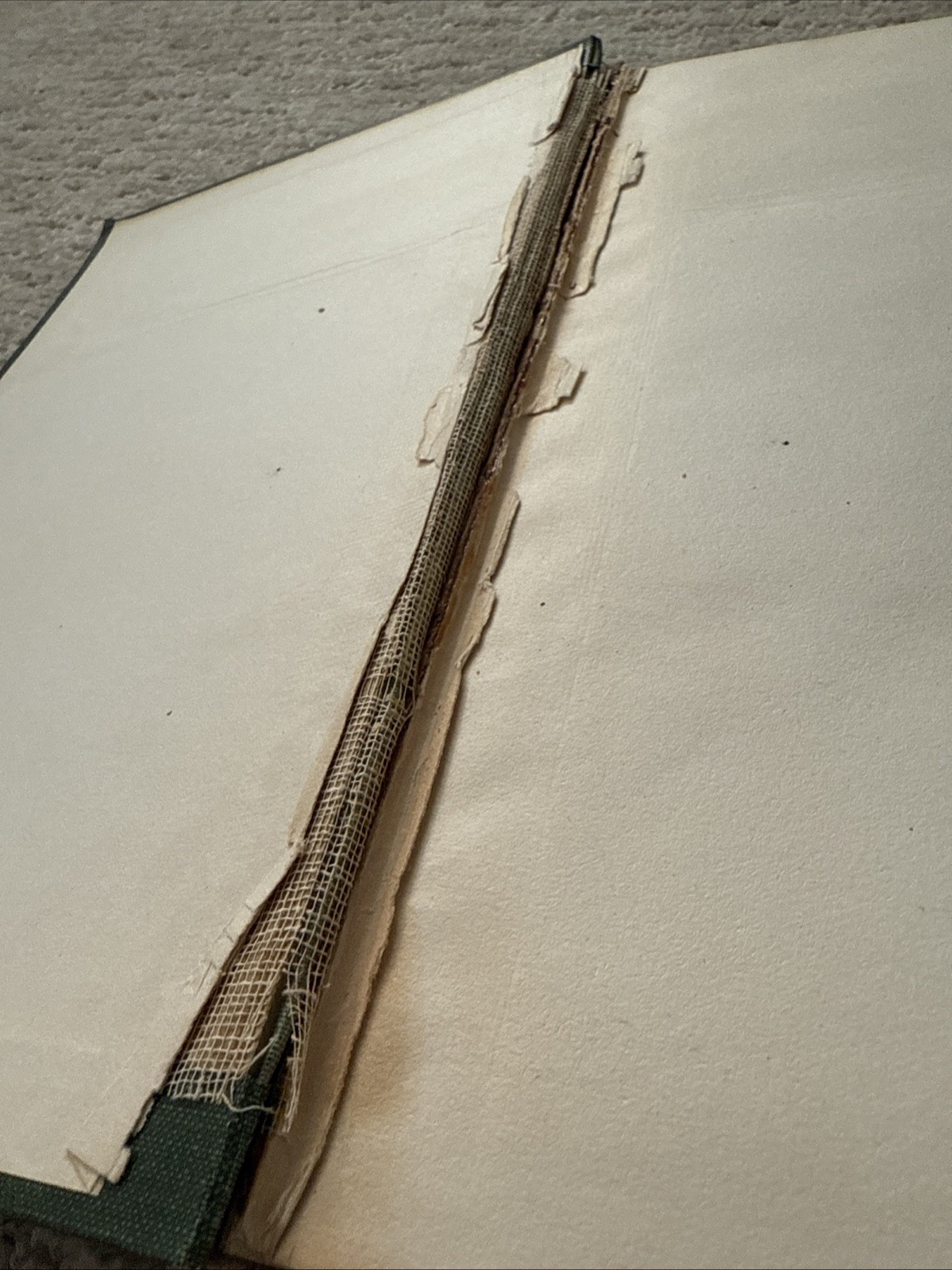 600 Days Service, 361 Infantry Regiment, 91st Division WWI Unit History Book