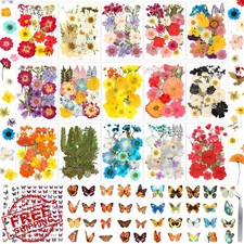 630 Pcs Dried Pressed Flowers and Butterfly Stickers for Crafts Resin Decor