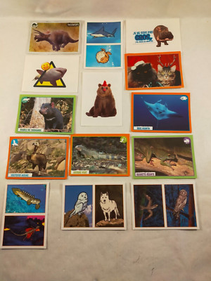 Nice 2013 Animals Panini Card Lot (Album) 1