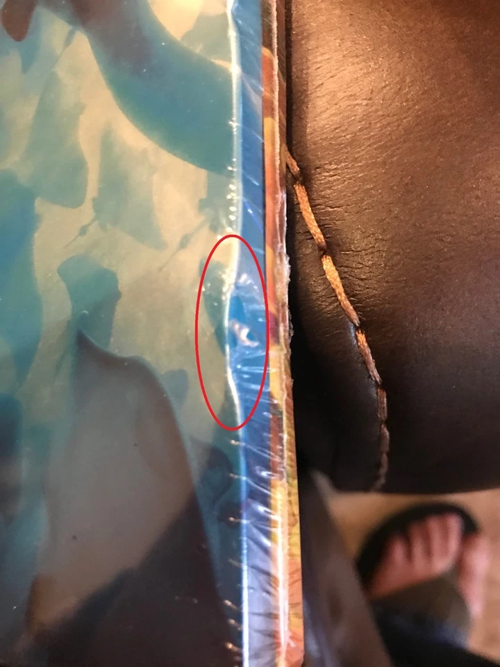 Finding Dory Limited Edition SteelBook w/Slip (Region A, B & C UK Import) - READ - Image 3 of 4