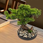 Desktop Artificial Bonsai Tree, Artificial Bonsai Pine Tree, Realistic Fake Plan
