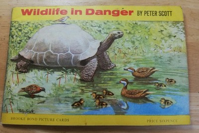 VINTAGE BROOKE BOND PICTURE CARDS IN BOOK - WILD LIFE IN DANGER NEAR COMPLETE