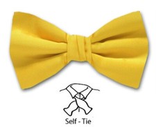 Men's Solid Satin Self Tie Bowtie- NWT