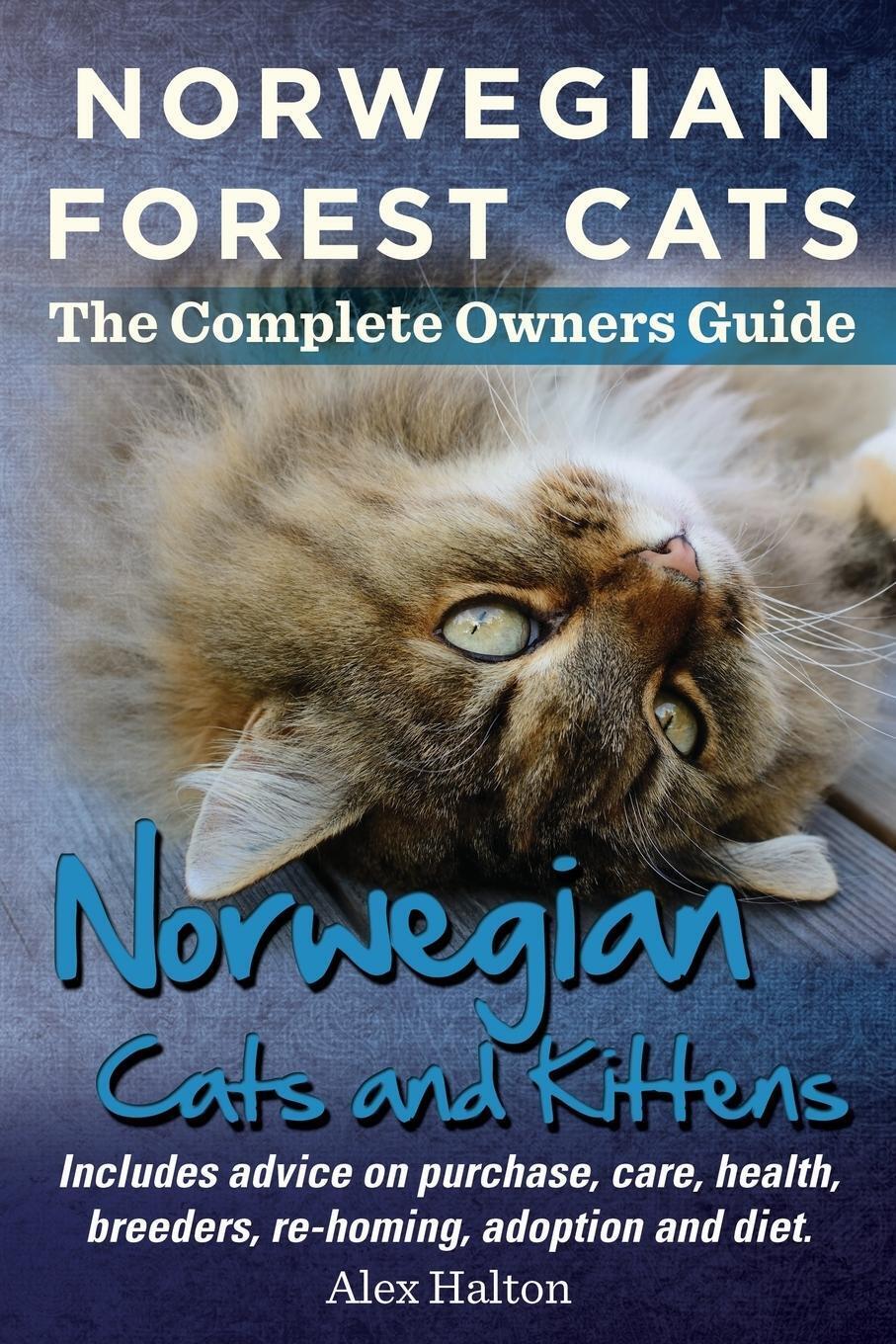 Thumbnail - Norwegian Forest Cats And Kittens. Complete Owners Guide. Includes