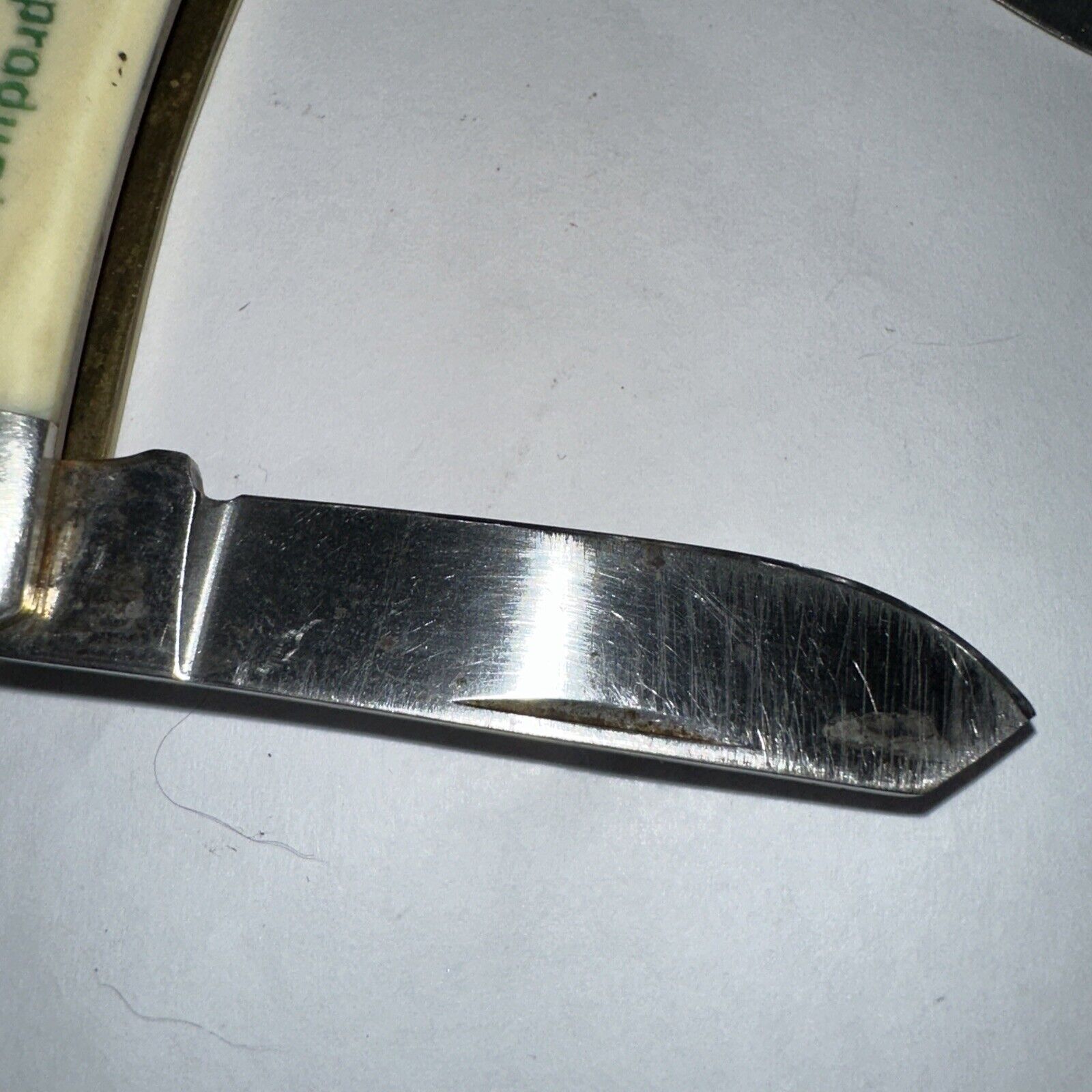 Picture 6 of 11