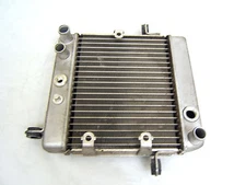 HONDA NSS250 NSS 250 SCOOTER REFLEX RADIATOR GRILL 19010-KFG-J01