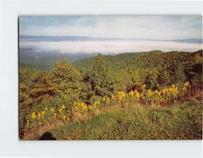 Postcard Scenic View from Blue Ridge Parkway North Carolina USA
