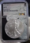 2024 US Silver Eagle $1 NGC MS70 Black Core Eagle Slab