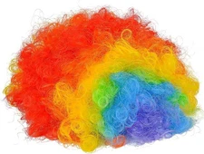 Rhode Island Novelty Rainbow Clown Wig - Colorful Costume Wig for Kids & Adults!