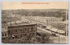 Forest City IA 1st National Bank~Birdseye of Downtown Victorian Buildings~1914