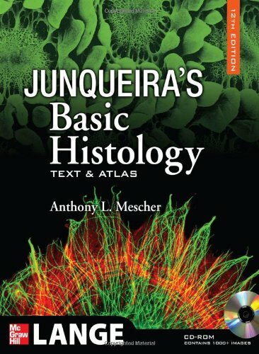 Junqueira's Basic Histology by Mescher | eBay