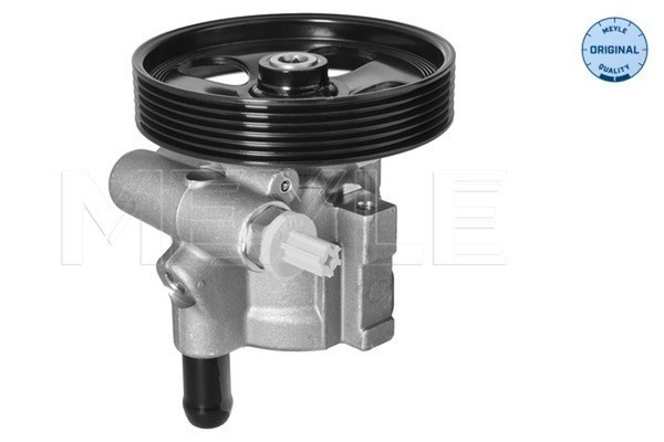 Servolenkungspumpe Nissan Primera (P12, WP12) (01 02-) Renault Laguna II (03 01--image