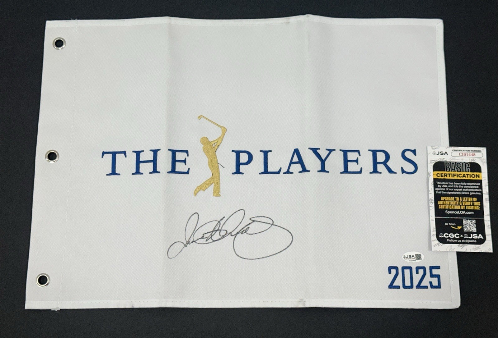 Rory McIlroy Autographed Signed 2025 The Players Golf Flag Auto Winner ~ PSA COA 