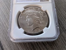 1928 PEACE 90% Silver Dollar Beautiful & Stunning Graded NGC MS 64 MUST SEE!