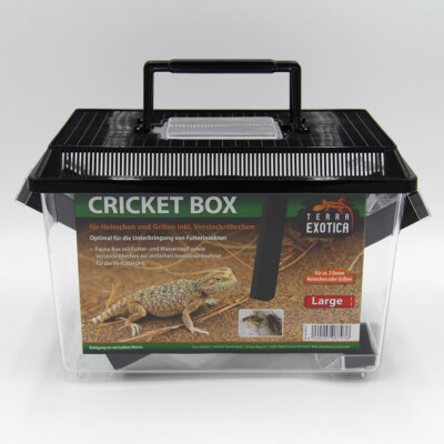 Terra Exotica Cricket Box - large 30 x 19,5 x 20,5 cm, Transportbox, Fauna Box