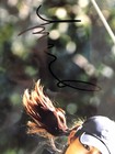 LPGA Michelle Wie, Christina Kim, Brittany Lincicome Autographed 8x10’s W/ COA — photo 8