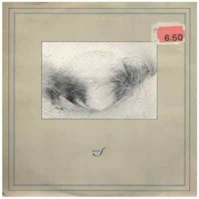 Section 25 Charnel Ground / Haunted Vinyl Single 7inch Factory Benelux