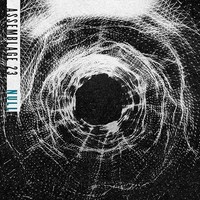 Assemblage 23 - Null Limited Edition - Vinyl Record - G72Z