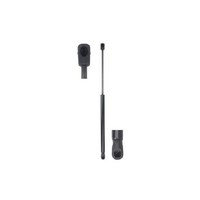 2X Gasfeder Kofferraum Hinten FüR Citroen C4 NC 2.0 09 Bis 26 Magnum 5FS BHZ