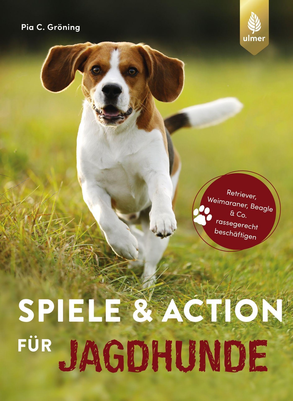 Spiele Und Action Für Jagdhunde Pia Gröning