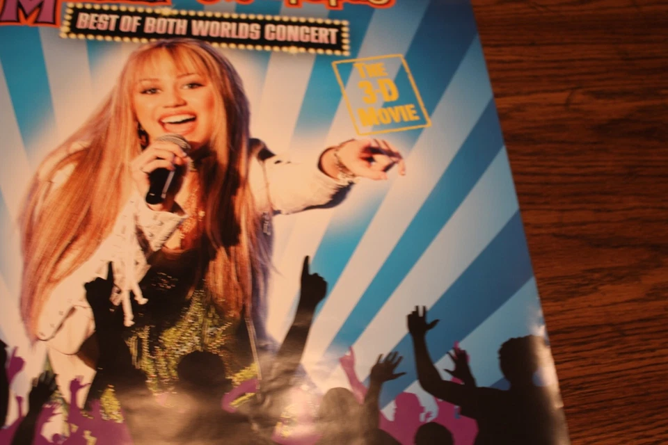 Póster Camp Rock con The Jonas Brothers, Demi Lovato, Hannah Montana -- NUEVO Foto 4 de 4