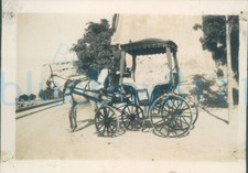 1927 Photo Malta Carroggin Horse & Cart 3.5x2.5"