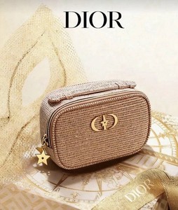 Dior Novelty Pouch | eBay