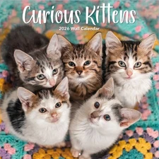 Turner Licensing,  Curious Kittens 2026 Wall Calendar, 12'' X 12'', 12-Month Cal