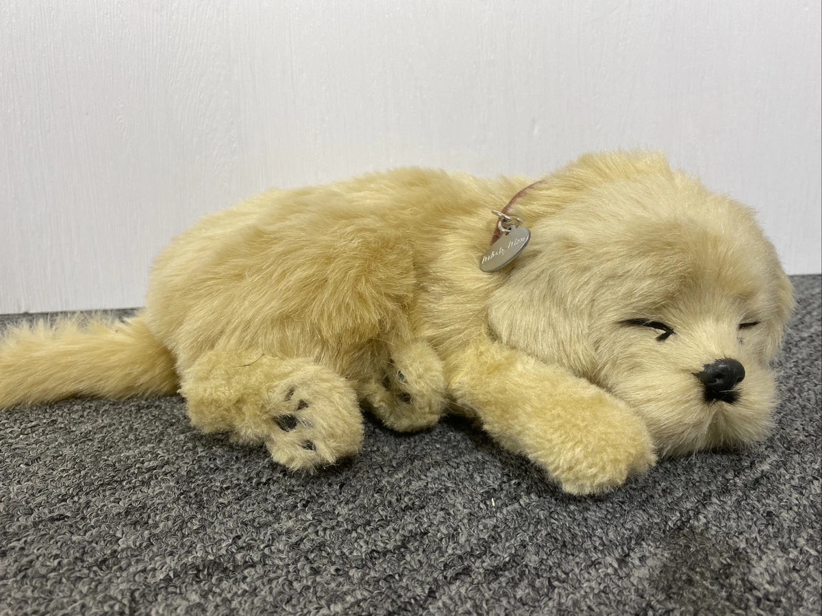 Perfect petzzz golden retriever plush top