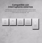 Foto 8 di 11